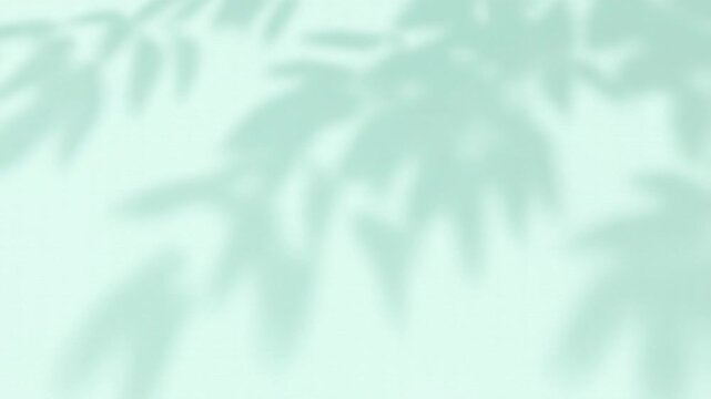Relaxing Shadows Cast On Pastel Surfaces. Peaceful Summer Atmosphere With Shadow Play And Soft Light
