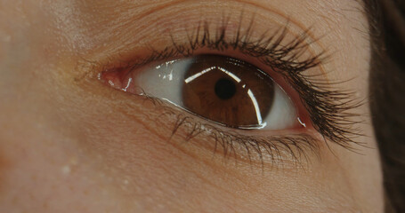Naklejka premium Macro shot of a brown women eye gazing upward. Concept of optics and vision, eye health, the beauty and media industries, medical dermatology and a natural, eco friendly lifestyle.