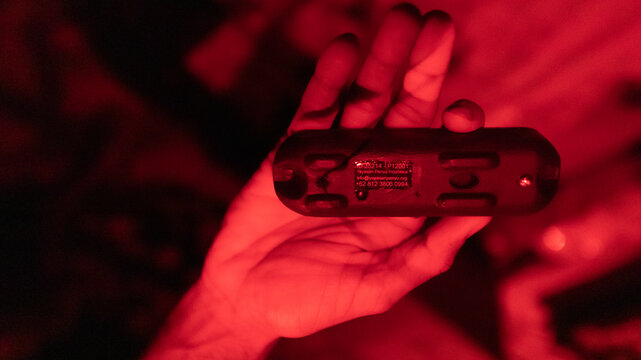 Leatherback turtle ( Dermochelys coriacea ) on a nesting beach in Indonesia