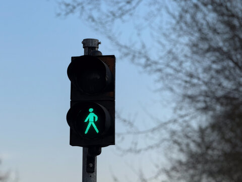 Close-up green pedestrian traffic light signal on street with trees background. Safe crossing indicator, urban mobility, city infrastructure