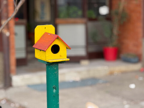 Colorful wooden birdhouse mounted on post in urban yard. Wildlife support, garden decor, handmade object, outdoor environment. Copy space