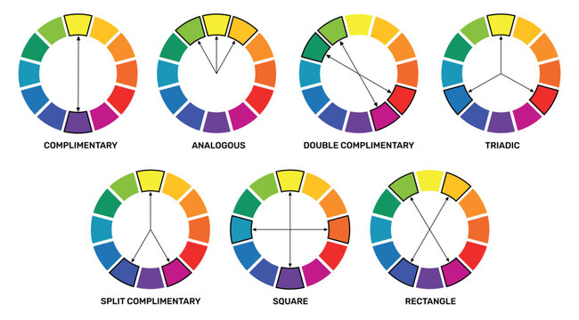 Color wheel combinations. Shades harmonious diagram or complementary, analogous, triadic scheme, colour theory learning, primary, secondary, tertiary visual design qualitative vector set