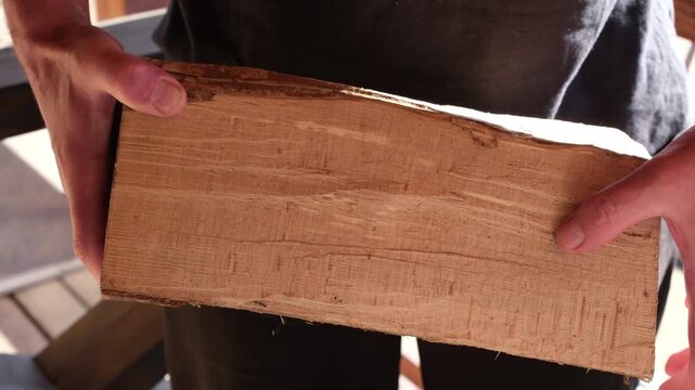 Strong male hands presenting a piece of natural beech wood, close up. Sunlight.