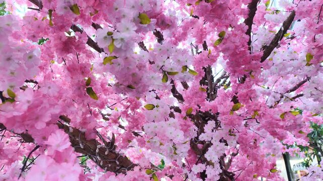 Aesthetic Urban ecology concept feature cherry blossom tree decorated with artificial flowers and led lights. Modern city space uses Aesthetic Urban greening with floral decor and festive illumination