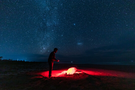 Leatherback turtle ( Dermochelys coriacea ) on a nesting beach in Indonesia
