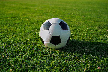 Fototapeta premium Soccer ball on the freshly cut gras, sunny day, no people, closeup shot