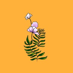 Flower illustration on orange color 