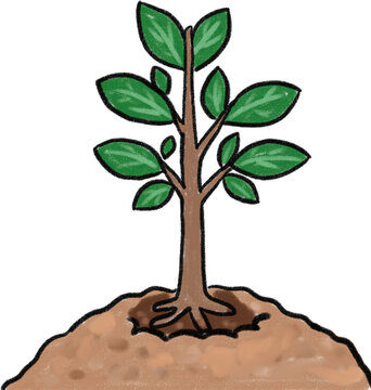 Arbor Day, Tree Planting