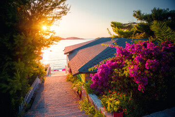 Stunning sunset illuminates a serene coastal pathway lined with vibrant bougainvillea flowers.