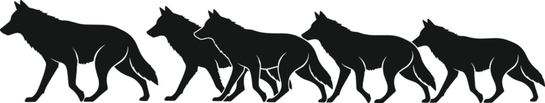 Wolf pack black silhouette vector set, wild forest animal walking side view collection, cad drawing flat vector illustration, flavector.