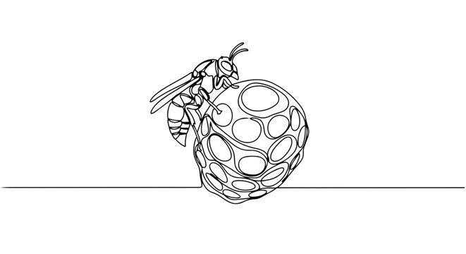 Wasp on a nest one line drawing. Minimalist vector illustration of an insect. Continuous line art isolated on white background