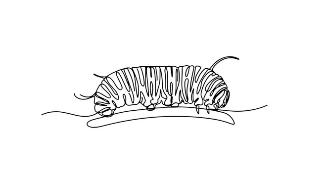 Caterpillar crawling on a branch. One line drawing minimalist vector illustration. Continuous line art of spring larva isolated on white background