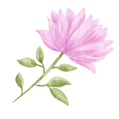 Fototapeta premium Pink Flower watercolor