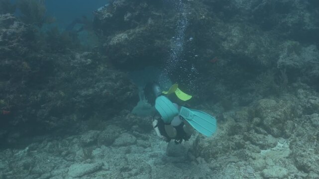 Scuba diver swimming through an underwater arch