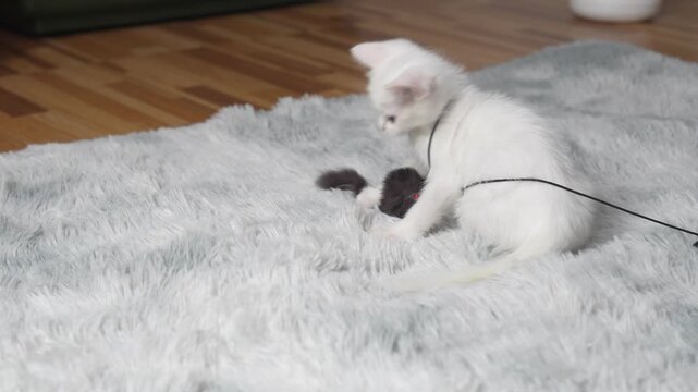 Playful Cat Engaging with a Toy Mouse in a Cozy Indoor Setting