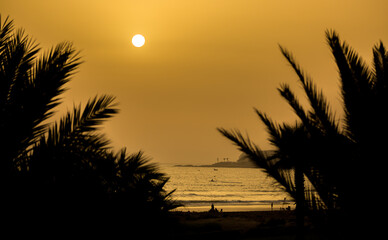 The setting sun over the Atlantic Ocean disappears behind the leaves of a palm tree, silhouetted against a cloudless, golden sky in Taghazout, Agadir, Morocco © Paul Jackson