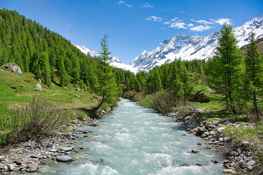 Bergfluss Lonza mit Blick auf den Langgletscher im L&ouml;tschental 