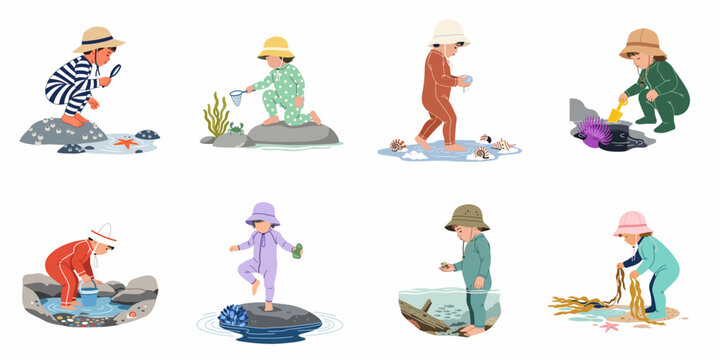 Illustrations of toddlers in sun-protective swimwear exploring tide pools and discovering diverse marine life including starfish, crabs, and seashells.