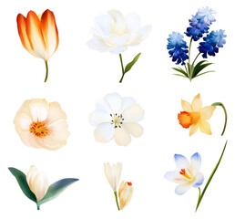 Fototapeta premium Elegant watercolor floral set delicate pastel flowers for wedding invitations isolated PNG transparent background