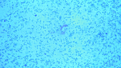 Obraz premium Abstract blue liquid background with dark particles and subtle paint texture. Concept of science, laboratory and biotechnology, ecology, creative industry and cosmetology.