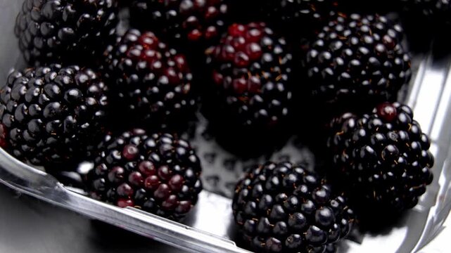 Selecting ripe blueberries from retail packaging. Macro shot