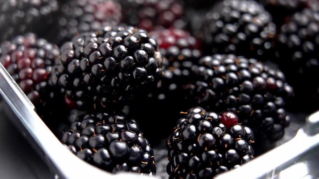 Dark ripe blueberries in a clear plastic market pack. Close-up shot. Rotation