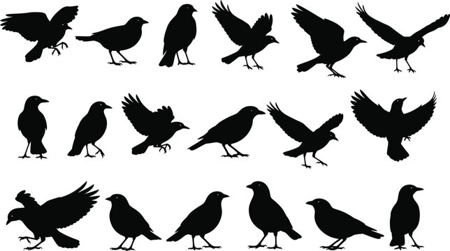 Wild bird silhouette shape set