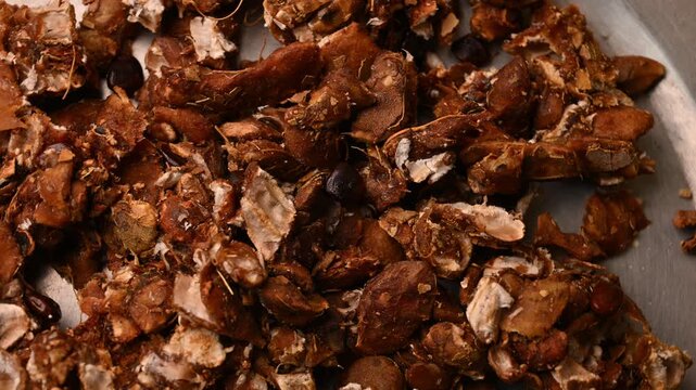 Top View of Imli (Tamarind Pods) &ndash; Natural Fruit Texture Footage
