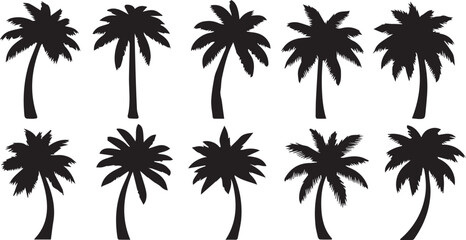Obraz premium collection of black palm tree silhouettes on a white background