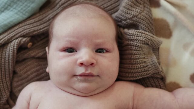 La drum lung sau o escapadă spontană, ai nevoie doar de ceva gustos, sănătos și simplu🌿

Produsele de la Green&rsquo;s sunt făcute să te &icirc;nsoțească oriunde mergi!