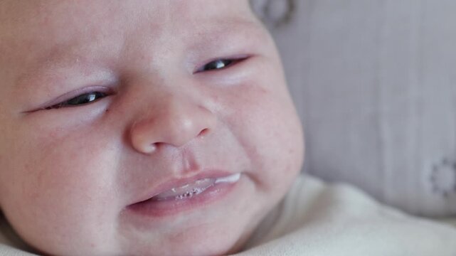 La drum lung sau o escapadă spontană, ai nevoie doar de ceva gustos, sănătos și simplu🌿

Produsele de la Green&rsquo;s sunt făcute să te &icirc;nsoțească oriunde mergi!