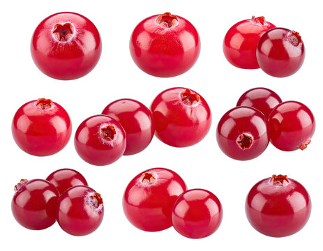 Vibrant red berries glistening with plumpness against a stark white backdrop