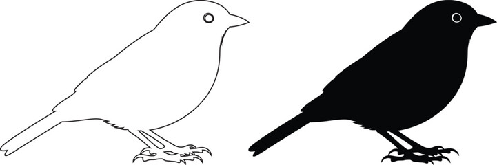 Fototapeta premium Bird Silhouette Outline Nature Wildlife Avian Vector