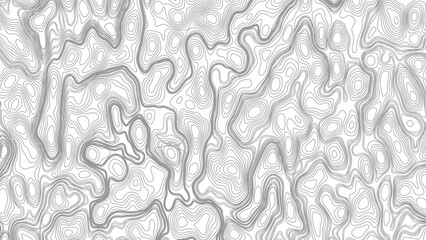 Topography background. Vector banner. Topography map background. Vector geographic contour map. Background of the topographic map. Topographic map lines © Mst