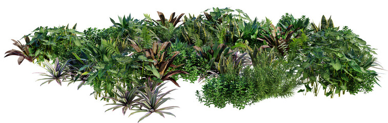 Obraz premium Tropical plants collection isolated on transparent background, lush green foliage garden PNG
