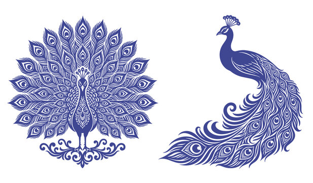 Blue Peacock Vector Illustration in Ornamental Mandala Style