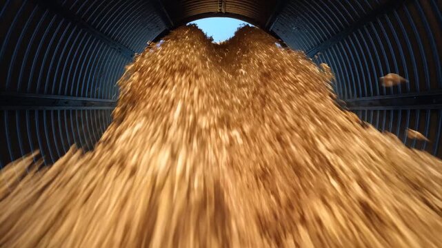 Golden Grain Pouring into Silo from Top Opening, slow motion, cinematic lighting, representing agricultural abundance and food production, symbolizing nourishment and harvest