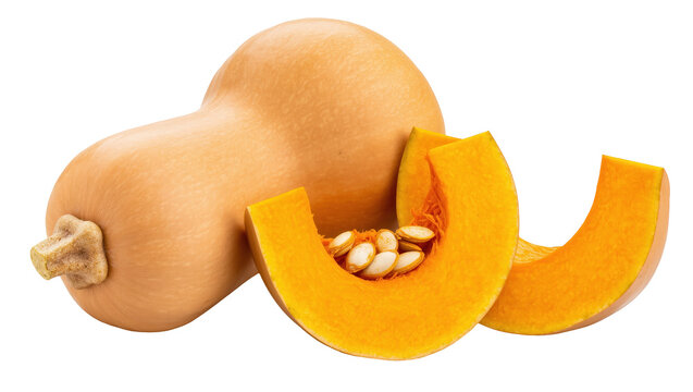 Vibrant whole and sliced butternut squash with bright orange flesh and healthy seeds
