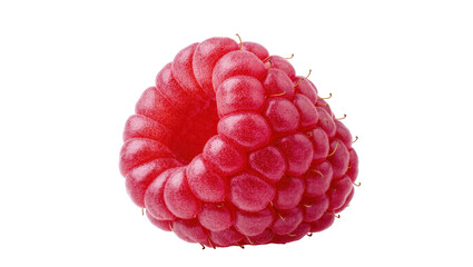 Single vibrant red raspberry fruit close-up showing delicious texture and freshness, healthy food © Miguel