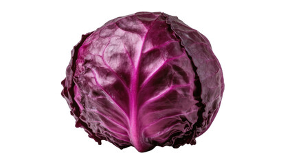 Obraz premium Ripe and vibrant red cabbage head, a nutritious and fresh vegetable for healthy cooking.