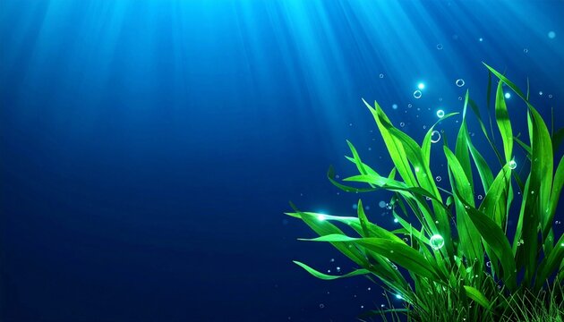 脱炭素社会へ海洋からのアプローチ：太陽の光が差し込み、水草が揺れる水中、ブルーカーボンをイメージした背景素材