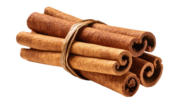 Bundle of fragrant dried cinnamon sticks tied with natural string, aromatic spice for cooking
