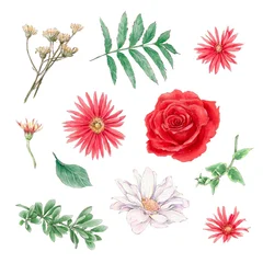 Fotobehang Tropische Bladeren Watercolor illustration of a set of delicate roses and other flowers, hand-drawn.  © Yuliya