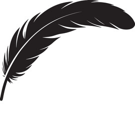 Single black feather detail isolated on transparent background elegant design element © MOHINUR