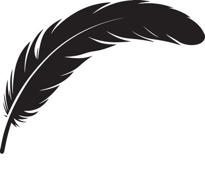 Single black feather detail isolated on transparent background elegant design element