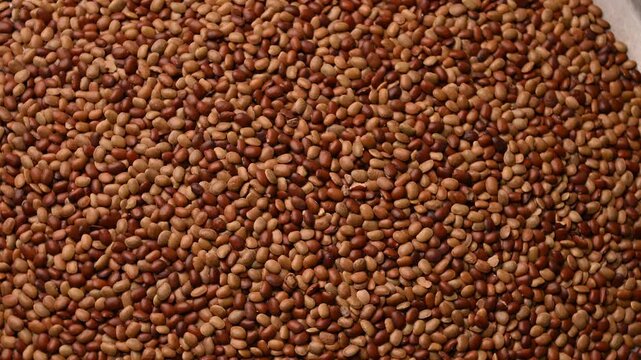 Rotating Top View of Horse Gram (Kulthi Dal) &ndash; Brown Lentil Texture Footage
