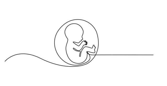 Baby embryo in womb one line drawing. Cute unborn fetus baby on mother womb isolated on white background, Baby embryo in womb in one continuous line drawing. Healthy pregnancy and premature symbol.