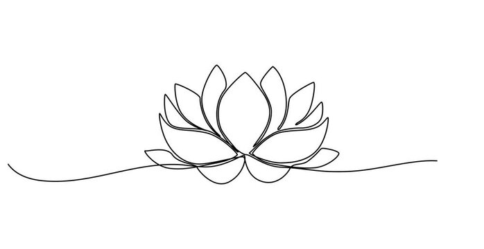 Animated self drawing of  Lotus flower continuous one line drawing. Wellness concept in simple linear style. Vector illustration, Single line, continuous, lotus flower line , Animated, motion, video,