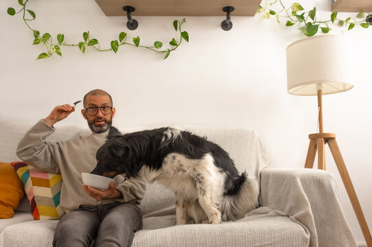 Adult man on couch reacting as dog reaches into his plate to eat at home