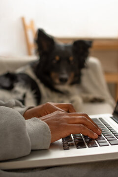 Close-up of person hands typing on laptop keyboard with blurred dog in background at home